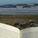 9 libros recomendados por profesores a sus colegas