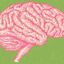Qué es el cerebro emocional y por qué es una pieza clave en el aprendizaje