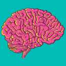 ¿Disciplina o castigo? Esta docente explica su visión desde la neurociencia