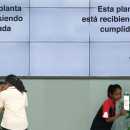 “Acosa a una planta”: el experimento que evidenció el impacto del bullying en esta escuela