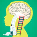 Neurociencia: ¿cómo se transforma la información en conocimiento?